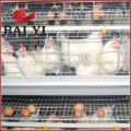 Venta de Jaulas para Poultry usadas en Nigerian Fram